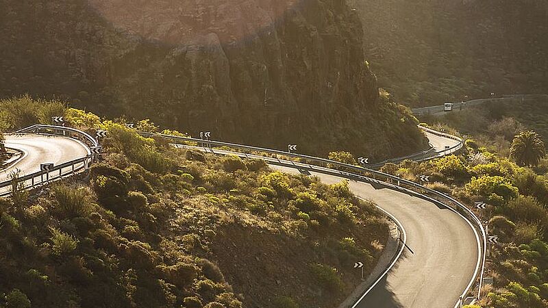 Cruiser, Surfeskate oder Longboard