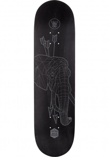 Elephant.jpg