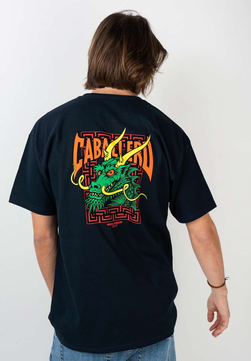 Titus-Wiesbaden-Skateshop_Streetwear_Oldschool-T-Shirts_powell-peralta-t-shirts-caballero-street-dragon-ii-navy-vorderansicht-0398315_600x600@2x.jpg