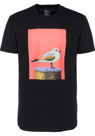 Titus_Aachen_Paint-Gull_942421.jpg