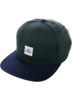 Titus_Wiesbaden_Skateshop_Streetwear_Kleidung_cleptomanicx-caps-badger-iii-bottlegreen_400x400.jpg