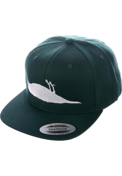 Titus_Wiesbaden_Skateshop_Streetwear_atticus-caps-solid-bird-forrestgreen-vorderansicht-0563661_600x600.jpg