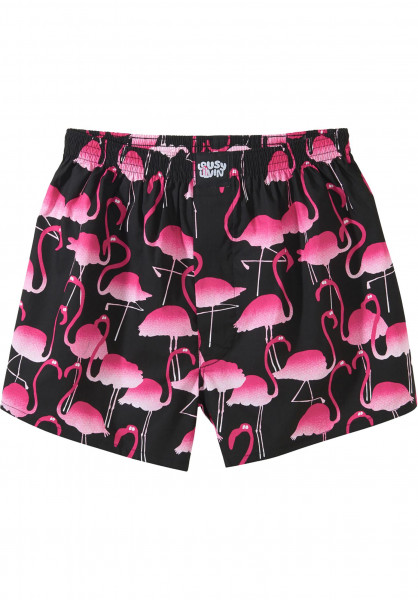 lousy_flamingo.jpg