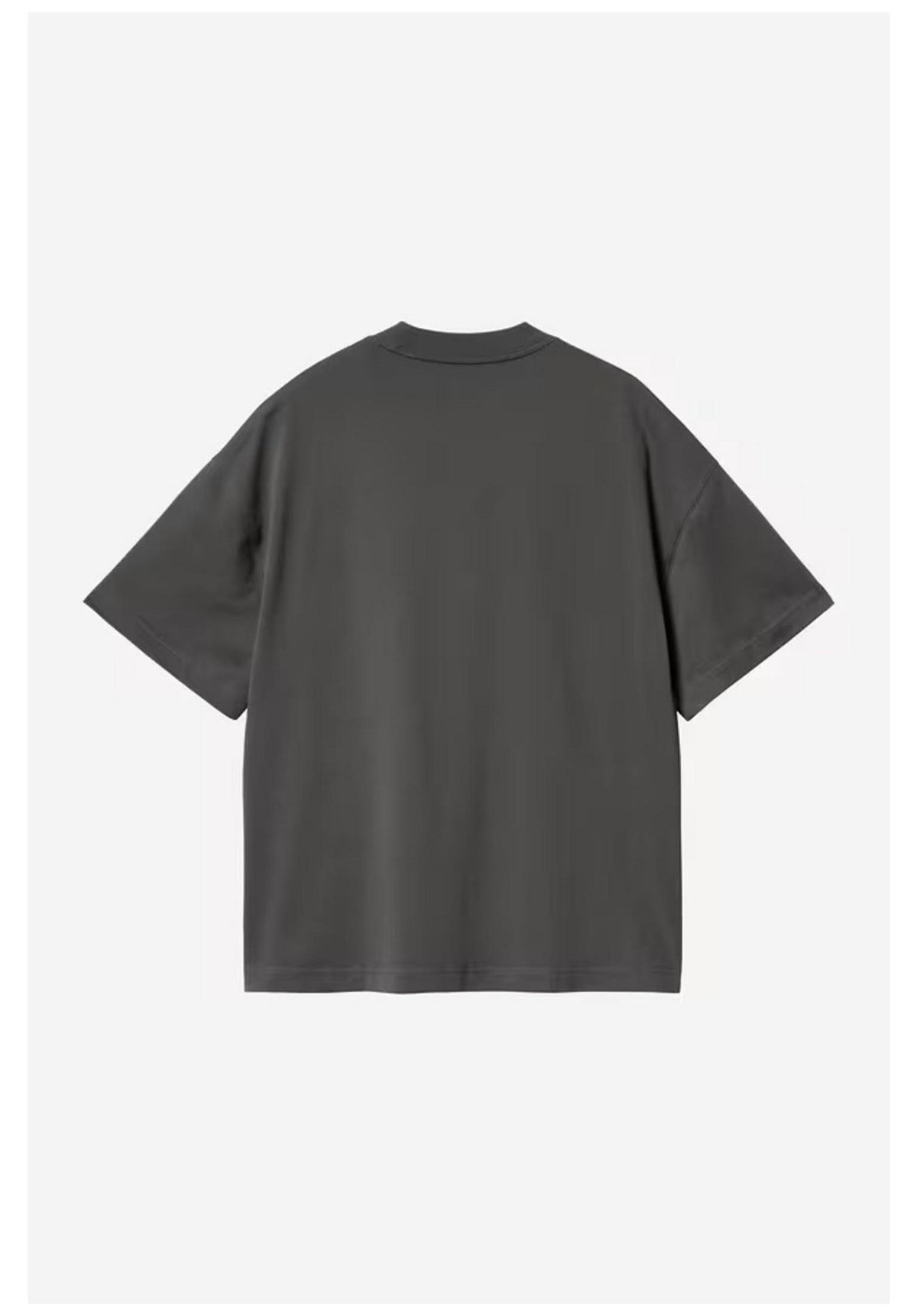 Carhartt WIP Signature Script T-Shirt graphite-darkscarab – Rückenansicht