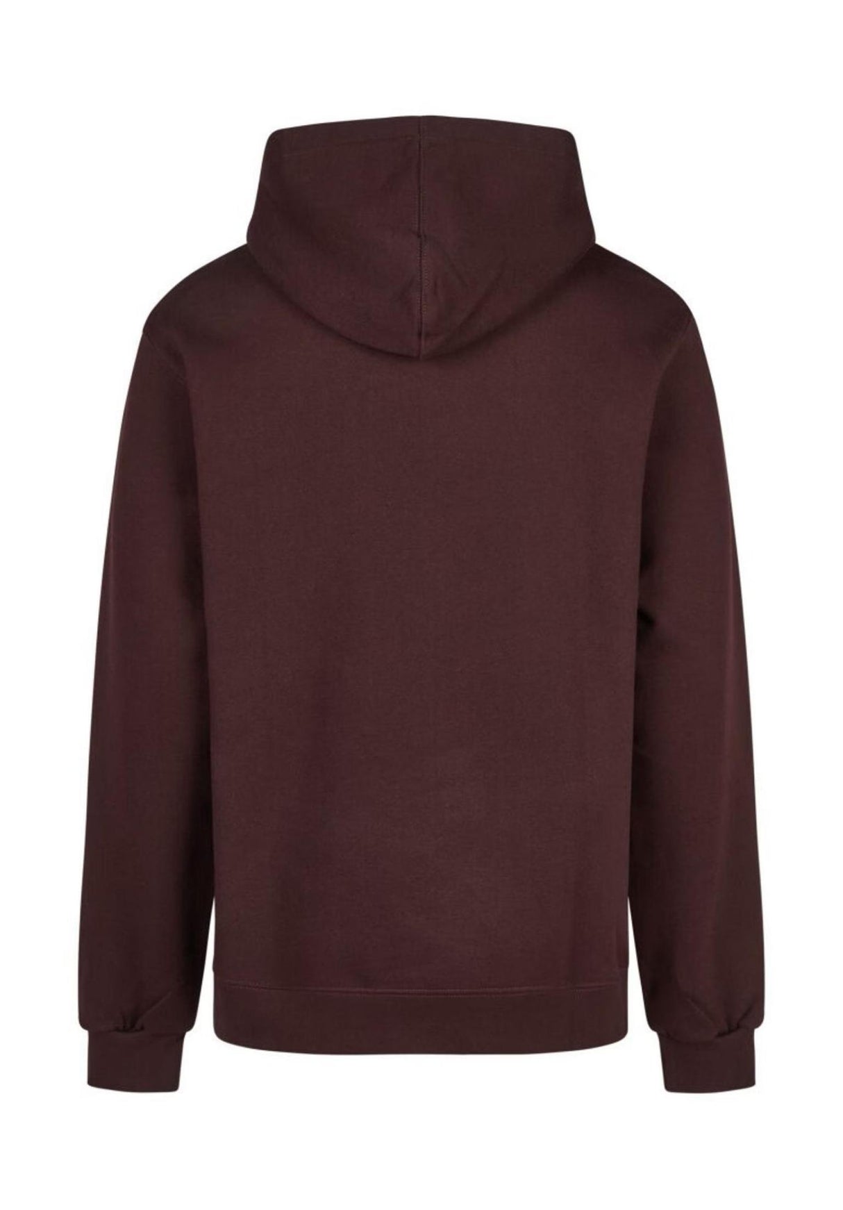 iriedaily Smokin Van Hoodie aubergine – Rückenansicht