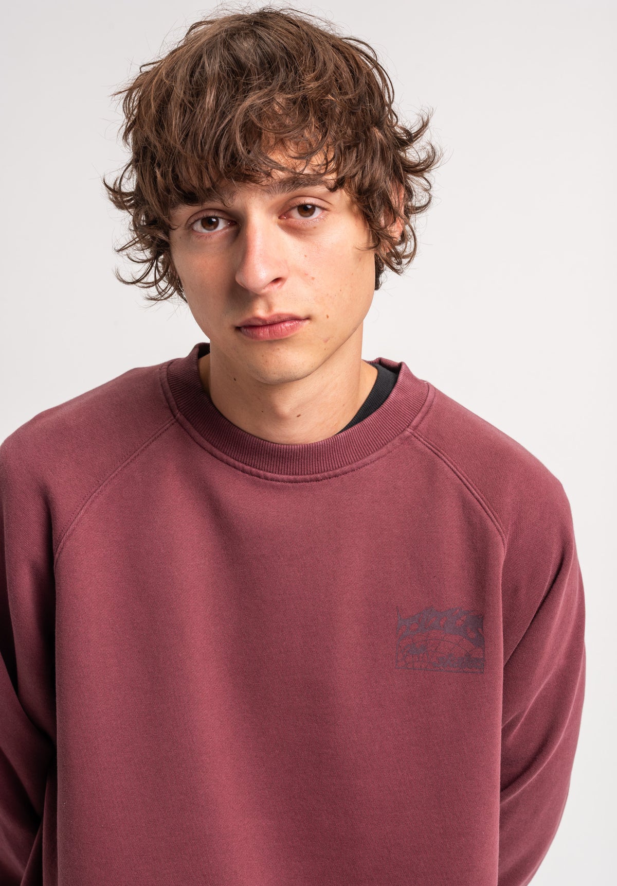 TITUS Heritage Clean Sweatshirt darkolivefaded – Detailansicht 1