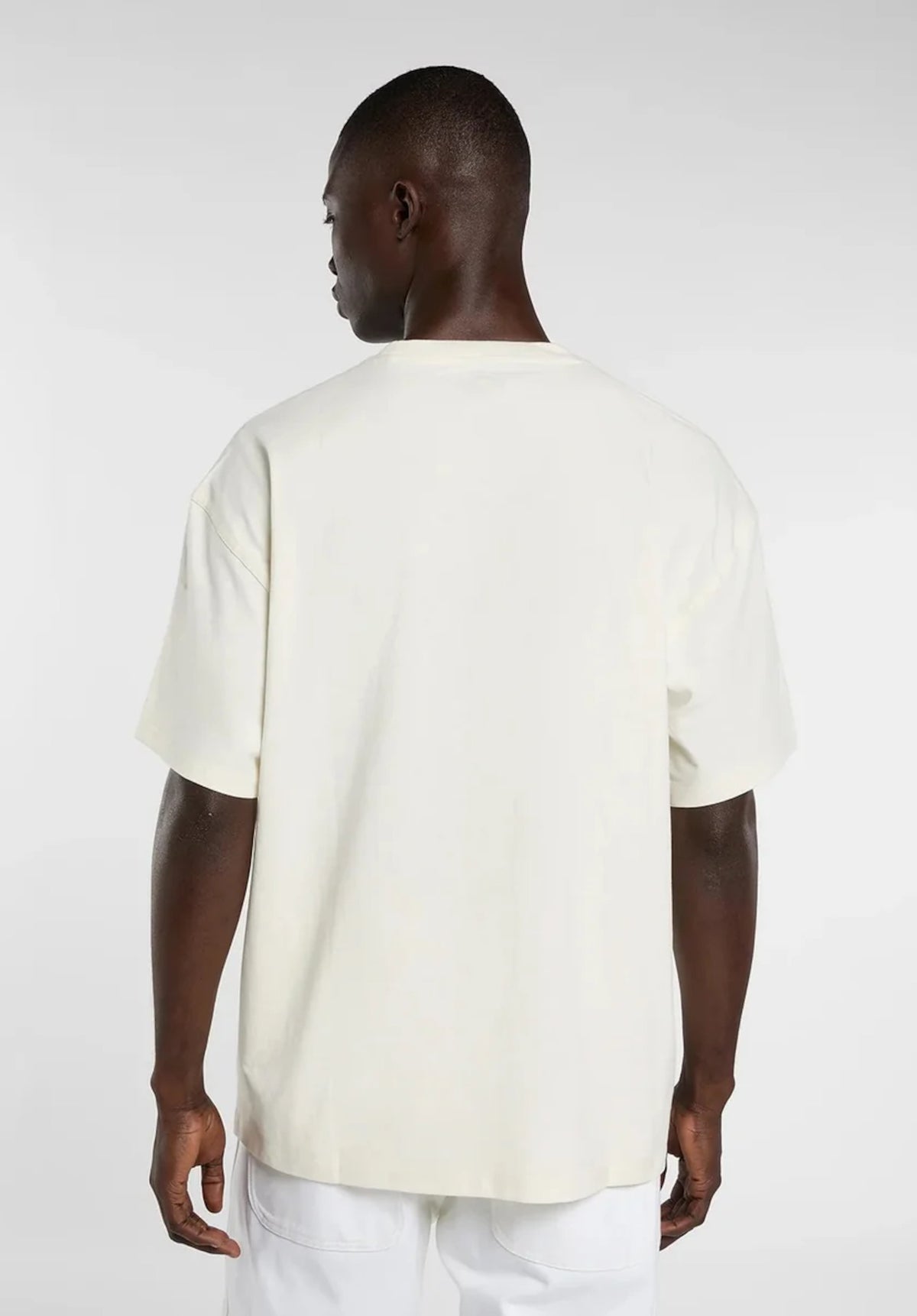 Dickies Irondale T-Shirt egret – Rückenansicht