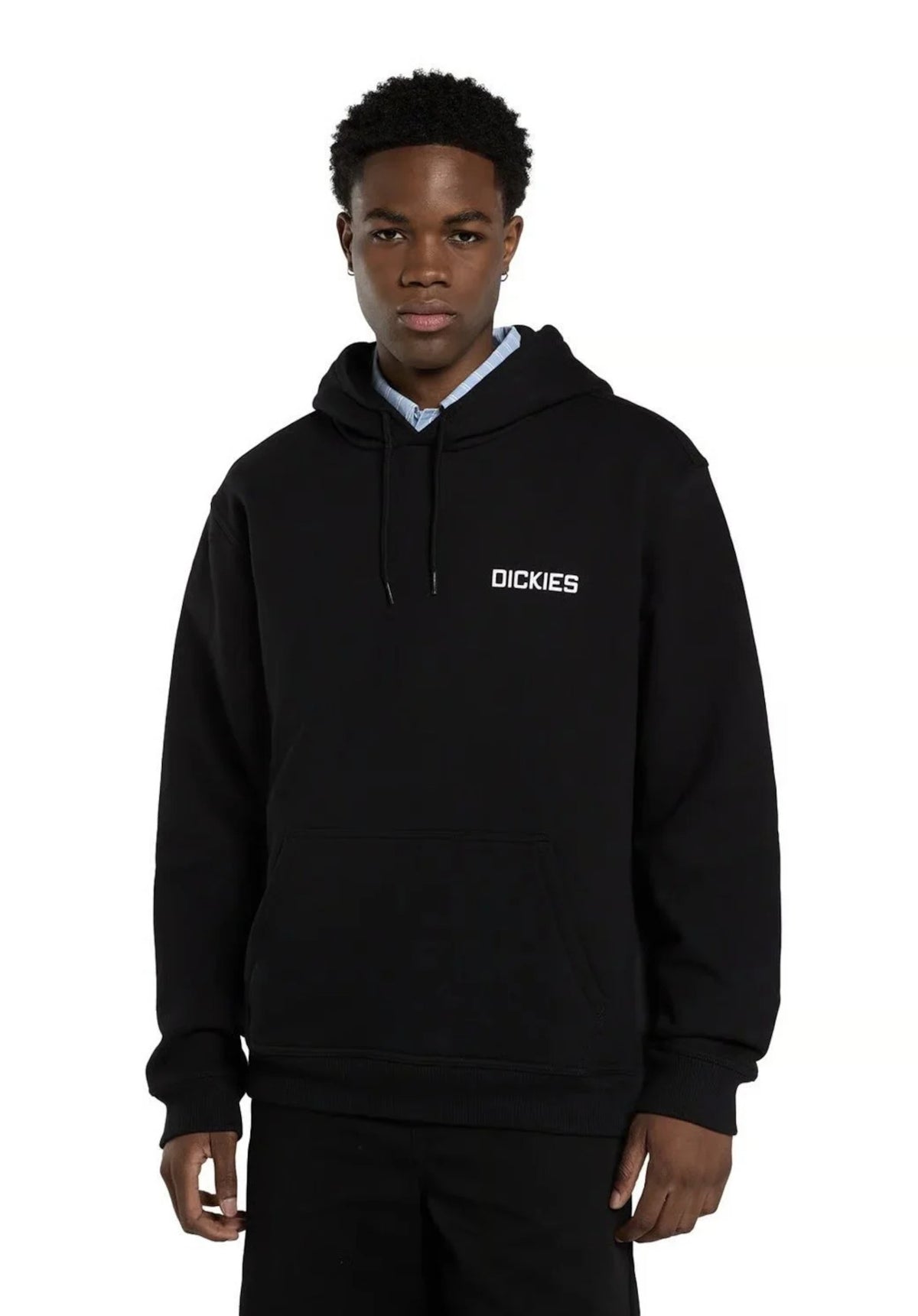 Dickies Payson Hoodie black – Rückenansicht