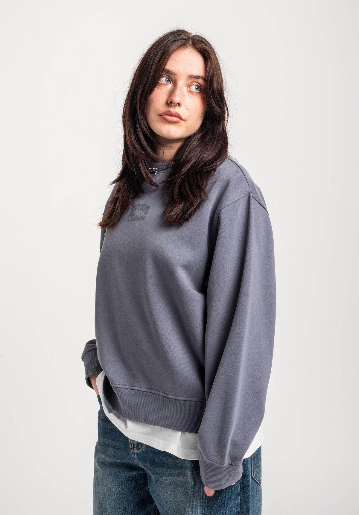TITUS W Heritage Clean Sweatshirt greybluefaded – Oberansicht