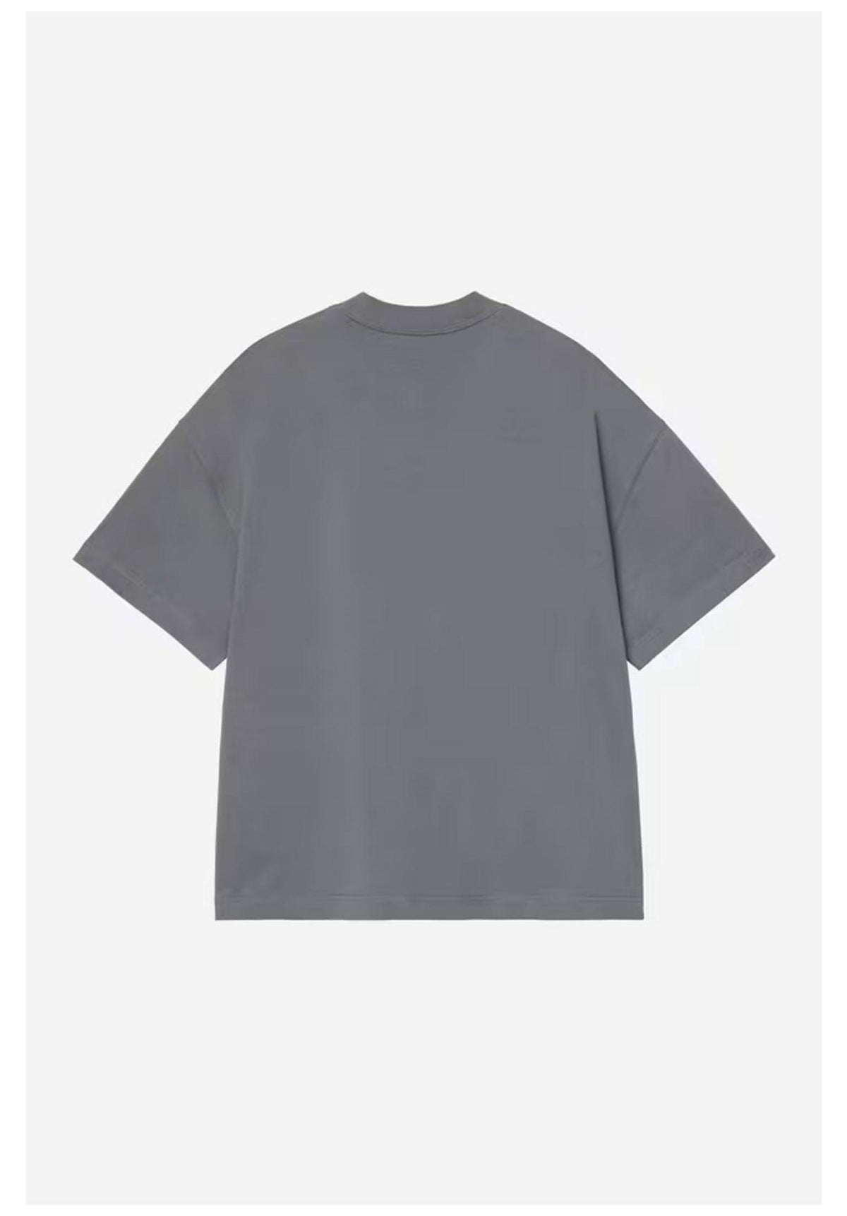 Carhartt WIP Pennon T-Shirt styx – Rückenansicht