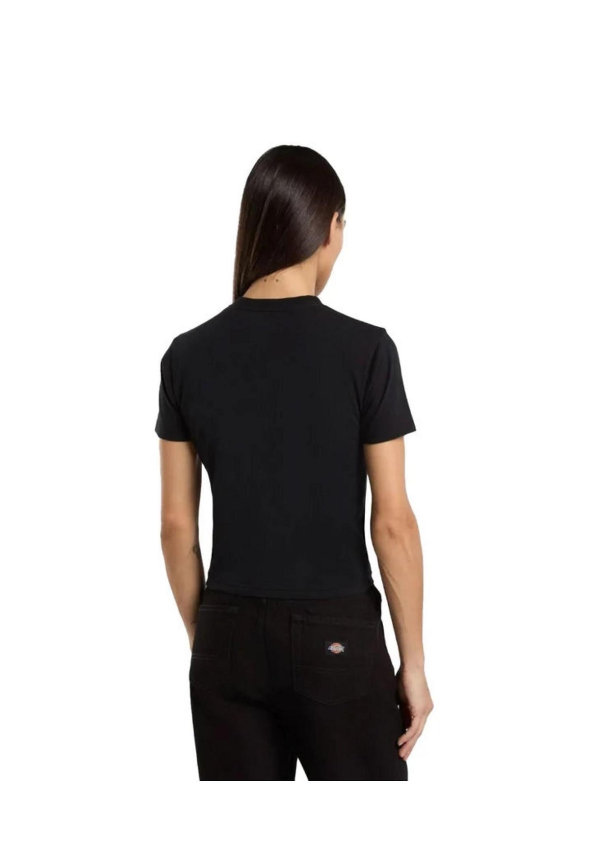 Dickies Maple Valley Reg T-Shirt black – Rückenansicht