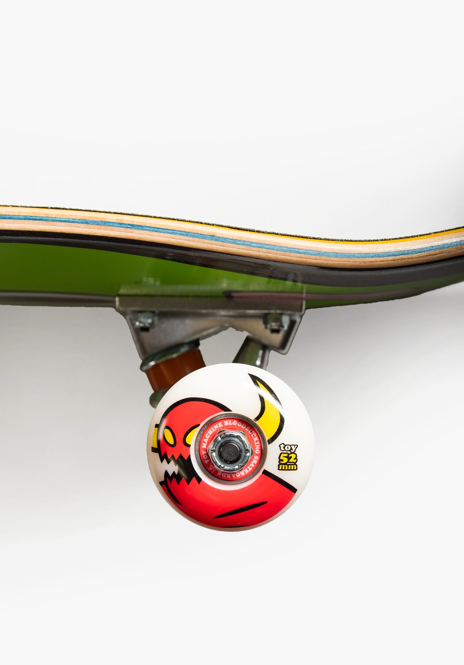 Turtle Sym multicolored Closeup2 Zoom Image