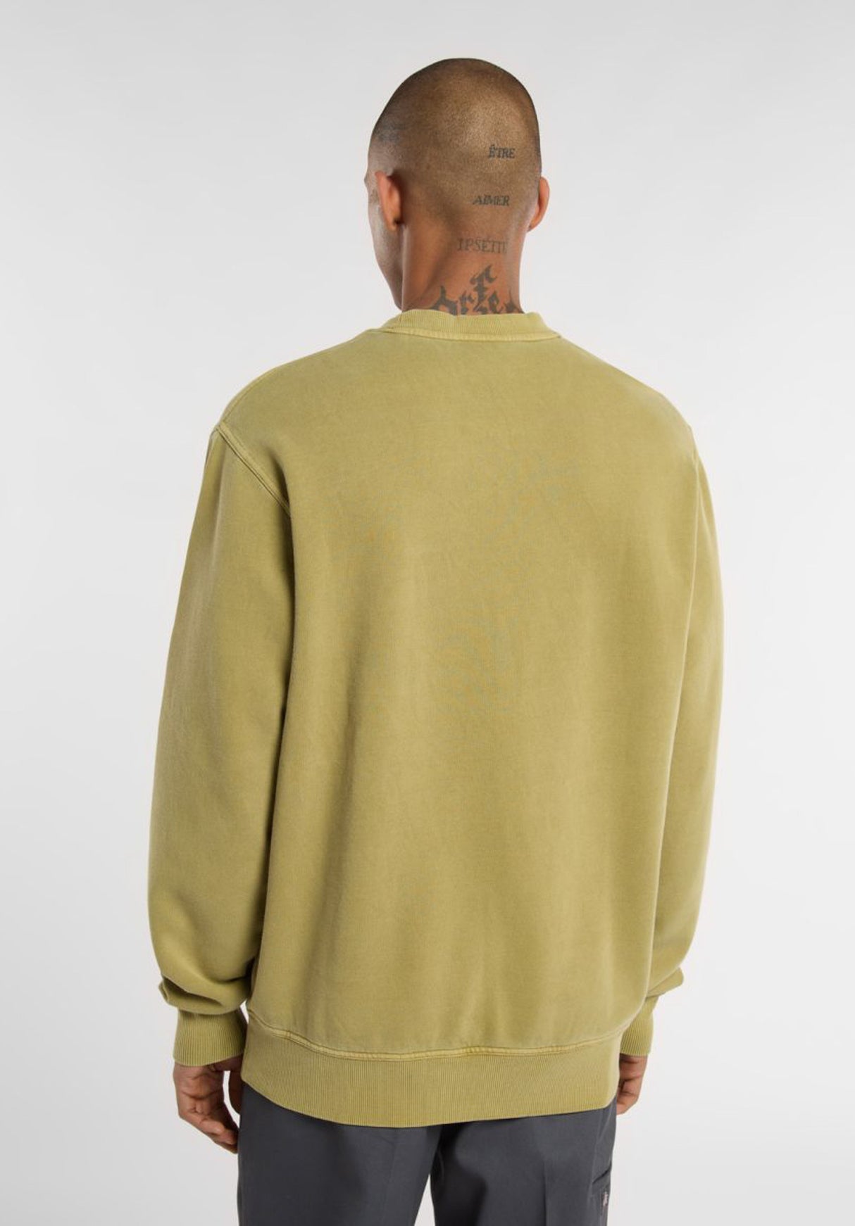 Plentywood evergreensprig Rueckenansicht