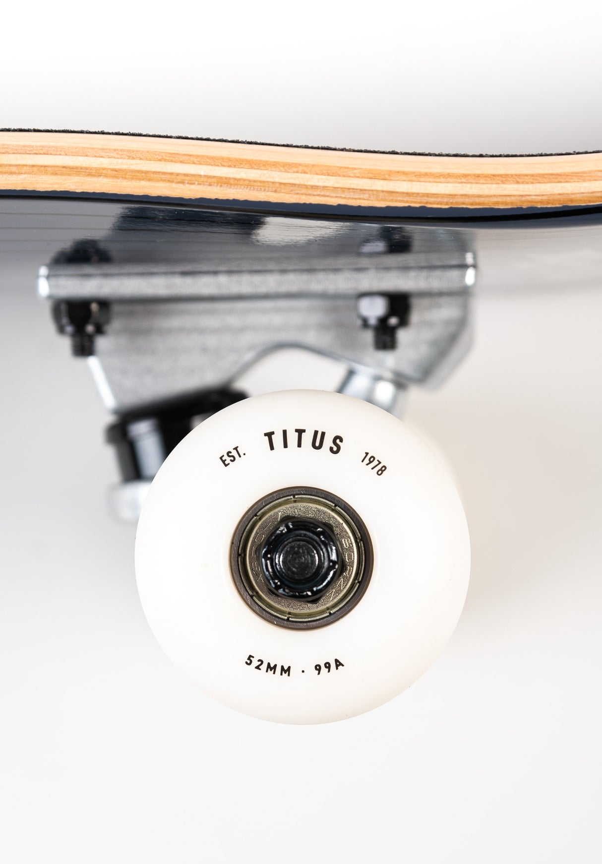 Blackbird Owl black-grey-white Oberansicht