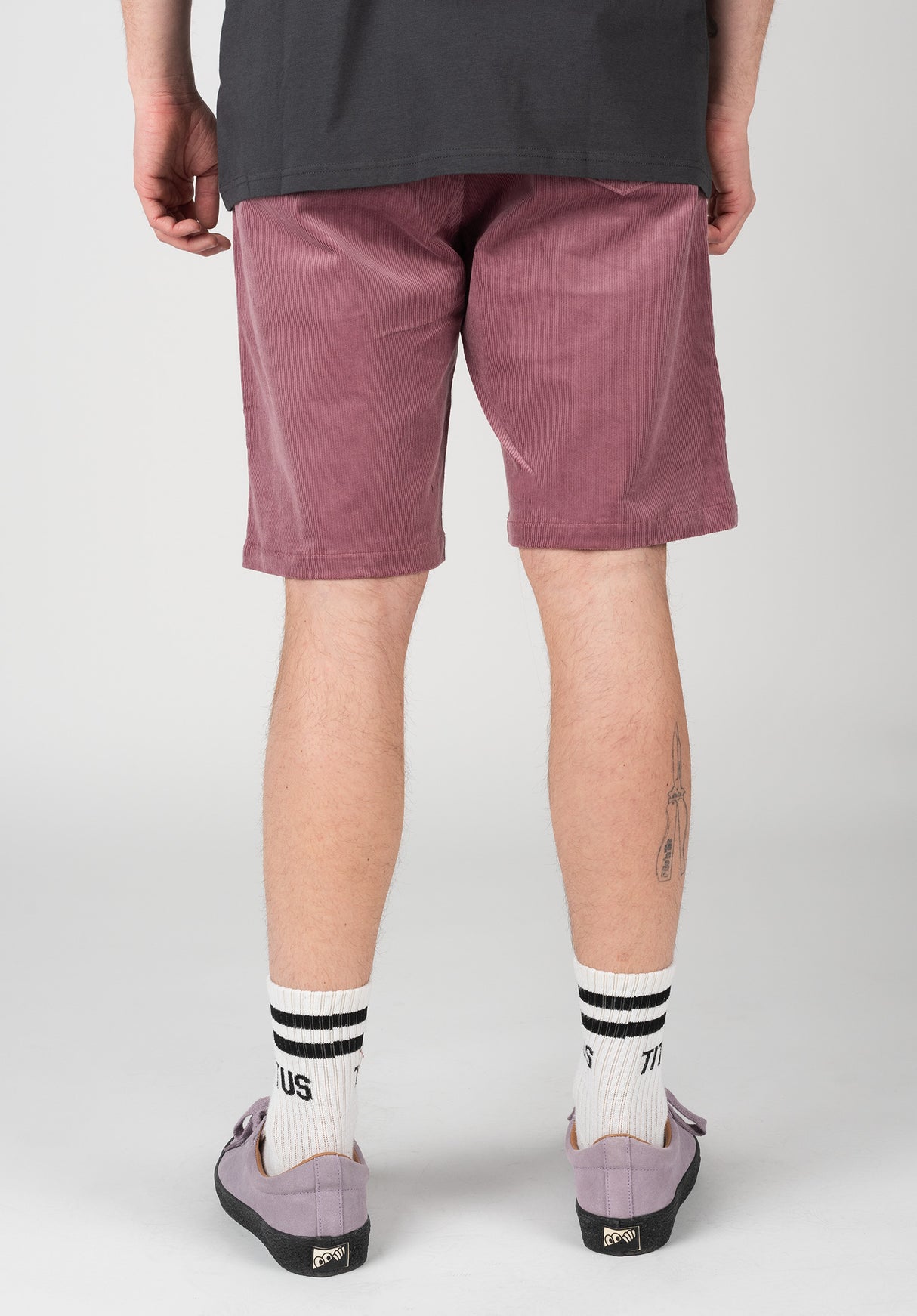 Corvin plum Closeup1