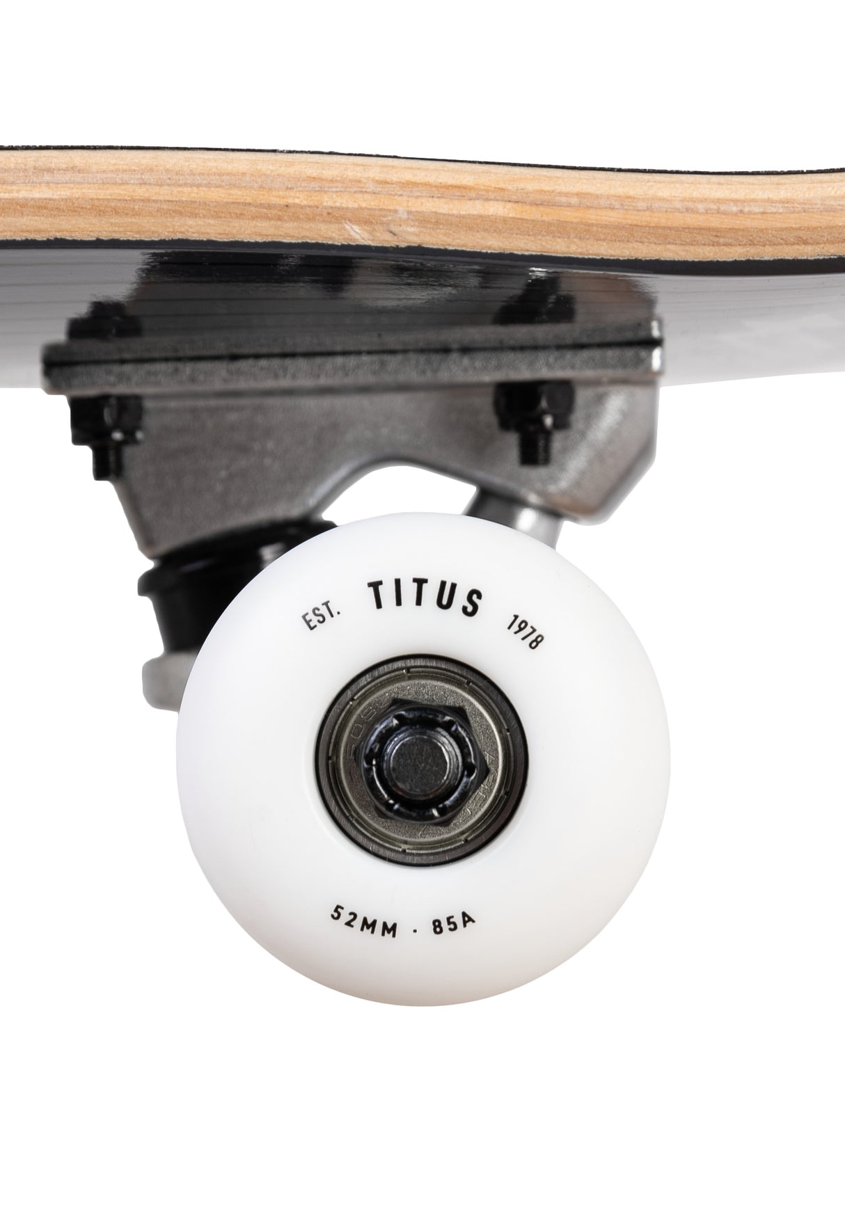 Blackbird Owl Mini black-grey-white Closeup2