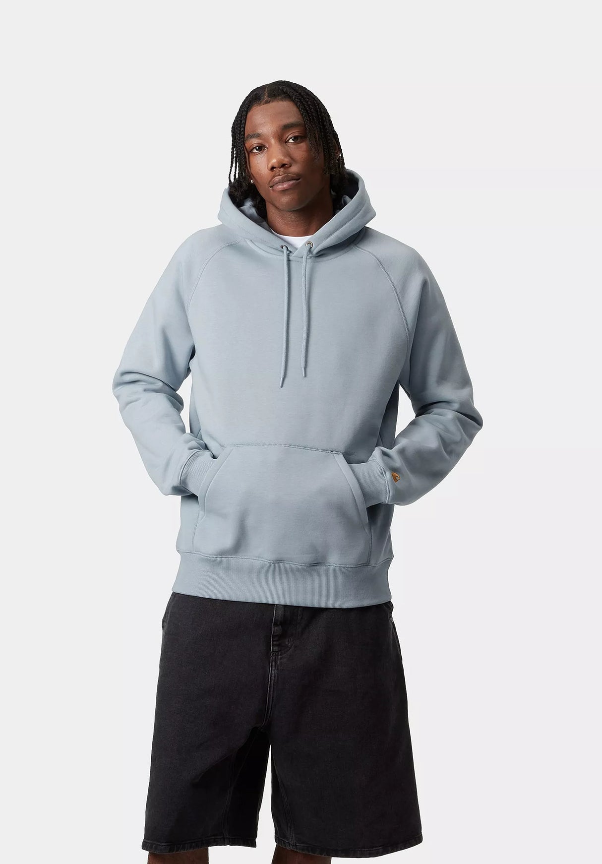 Hooded Chase frostedblue-gold Closeup1