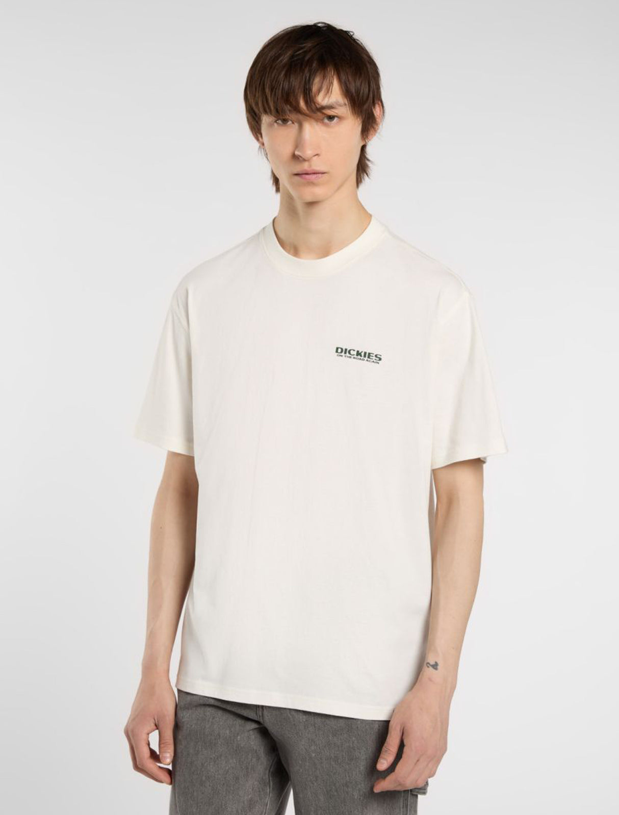 Burns egret Rueckenansicht