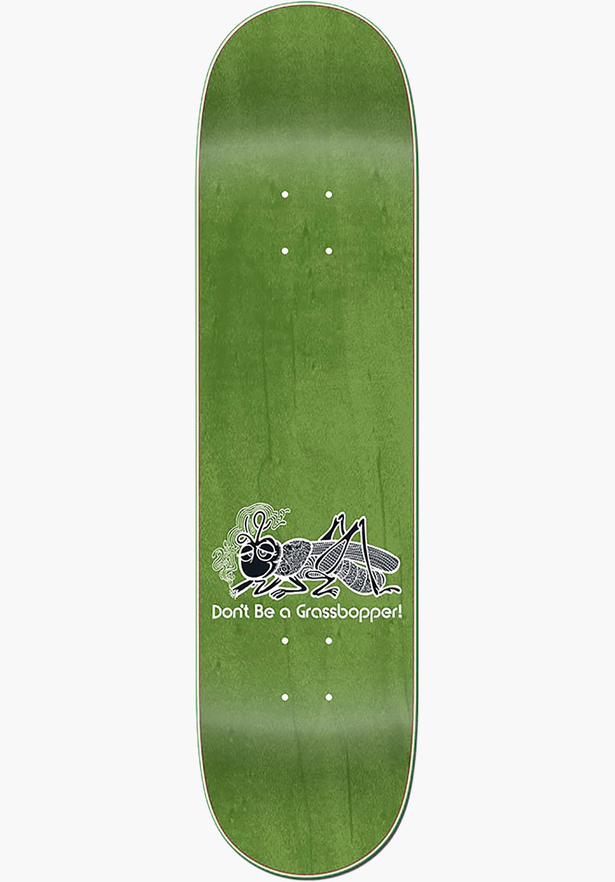 Grassbopper yellow Rueckenansicht