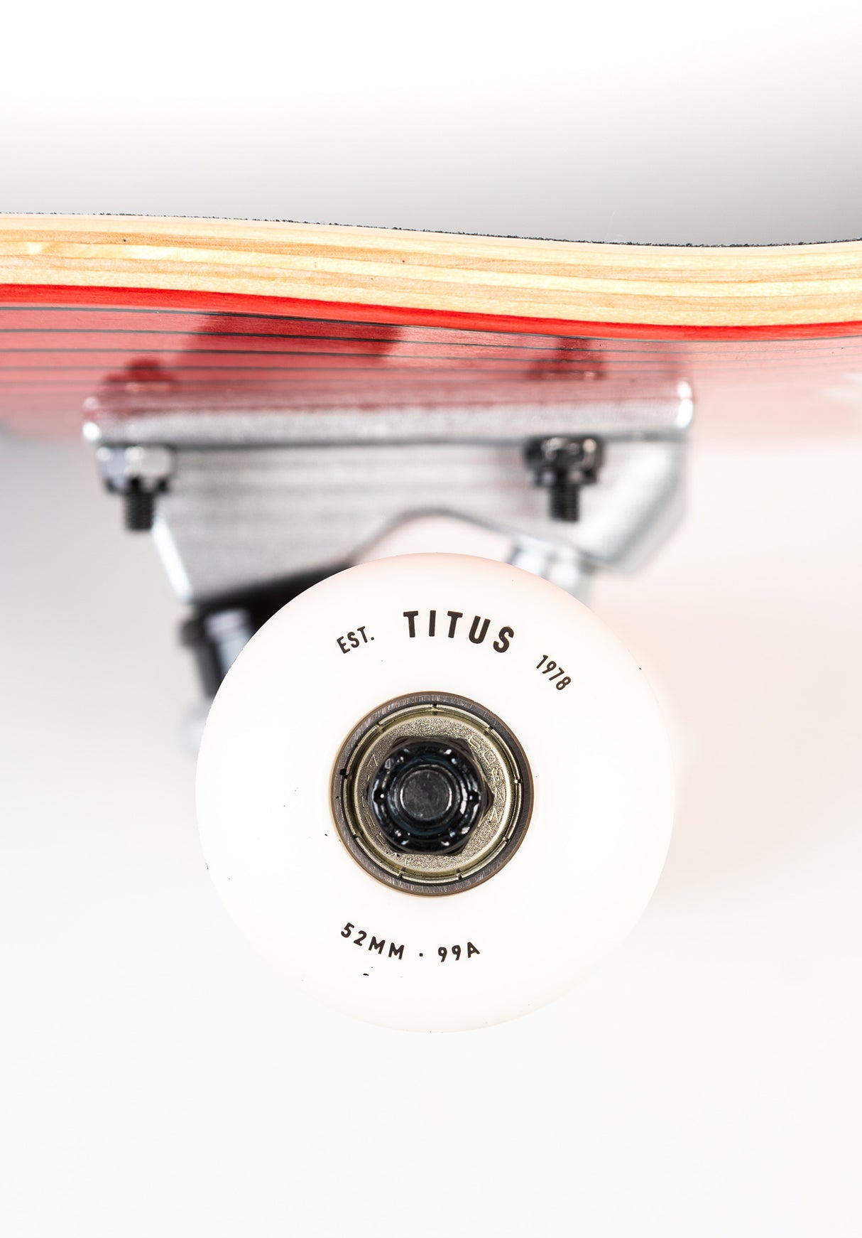 Blackbird Owl black-red-white Oberansicht