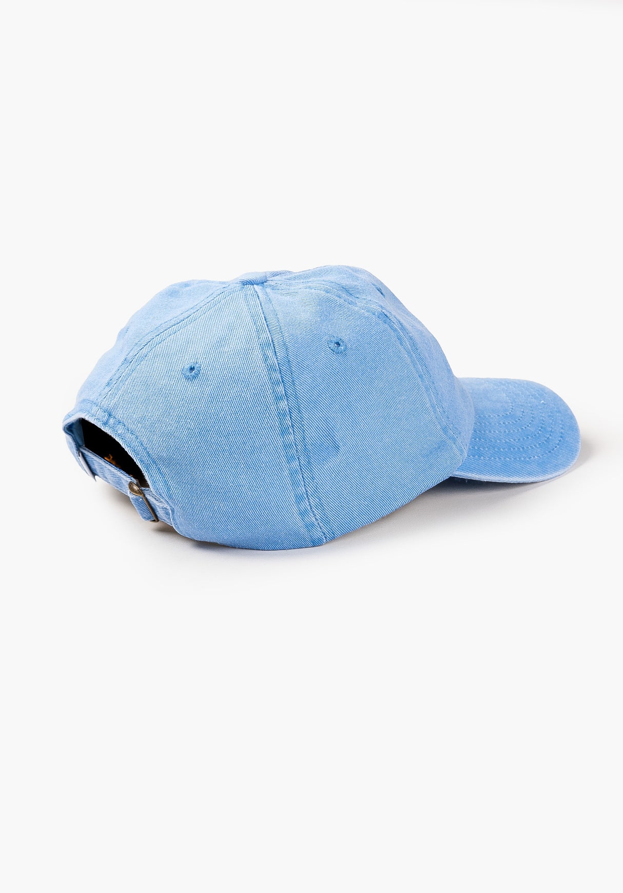 HXGN Icon Dad Cap lightbluefaded Rueckenansicht