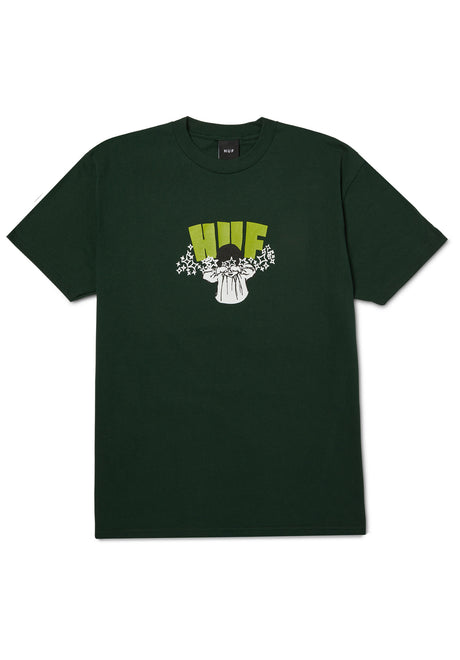 Dazed forestgreen Vorderansicht