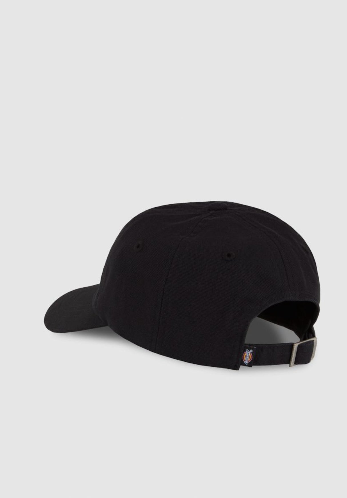 Duck Canvas Dad Cap black Rueckenansicht