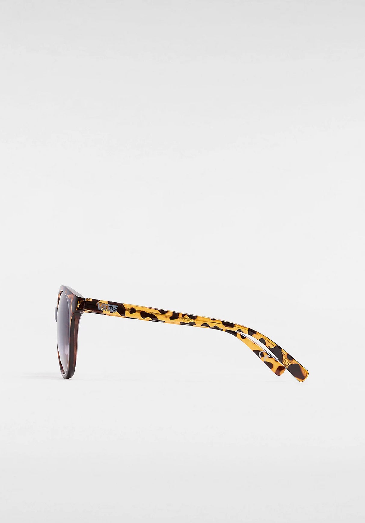 Rise and Shine tortoise Closeup1