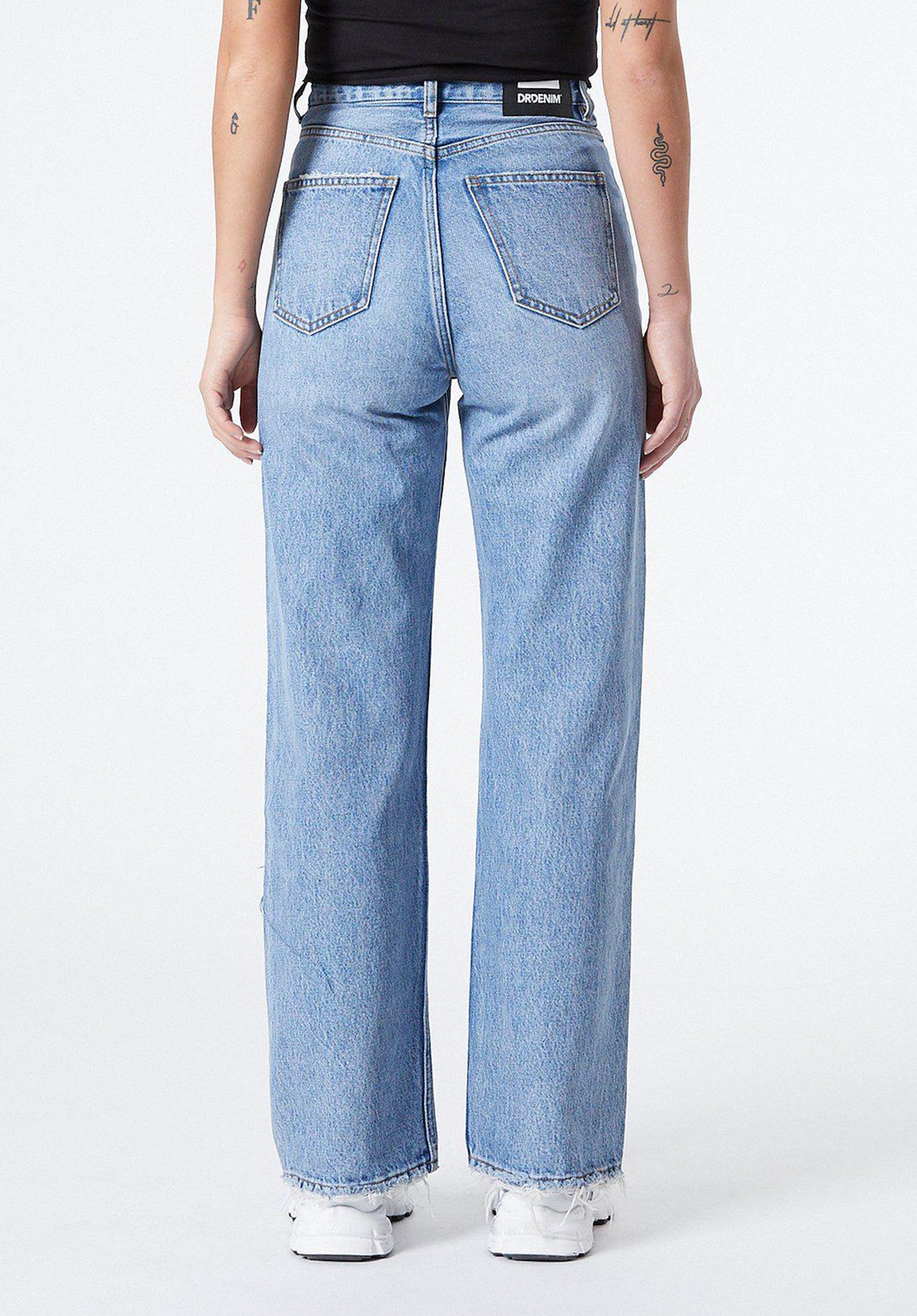 Echo bluejay Rückenansicht