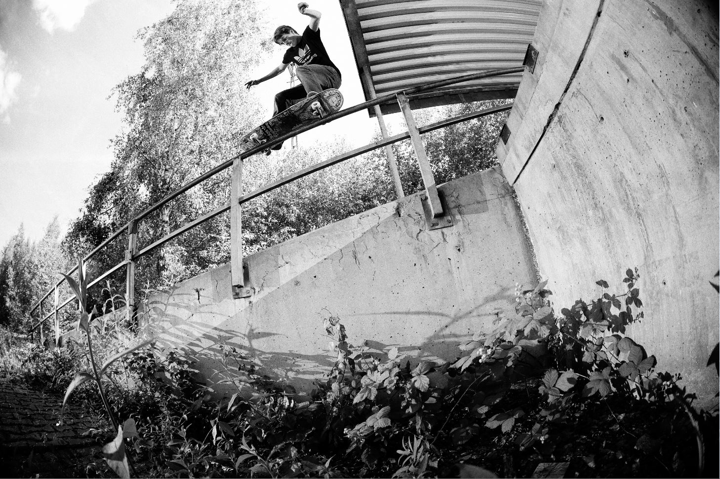 Sascha Scharf - BS 50-50 Pop Over