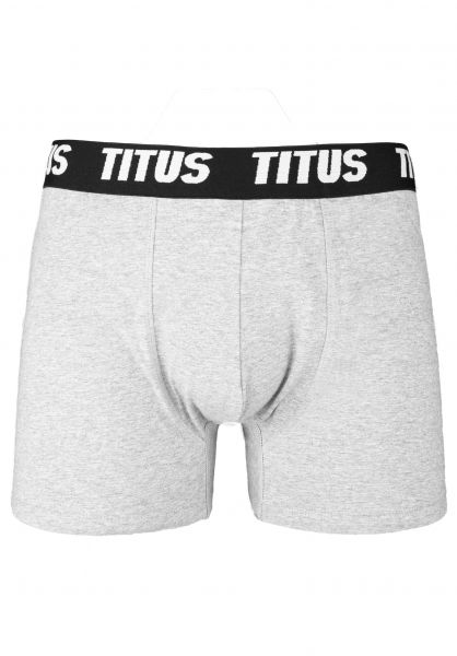 Titus-Wiesbaden-Skateshop-Streetwear-titus-unterwaesche-retro-boxer-greymottled-vorderansicht-0470840_600x600.jpg