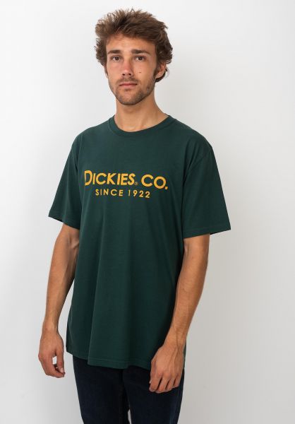 dickies-t-shirts-dunbar-forest-vorderansicht-0320231_600x600.jpg