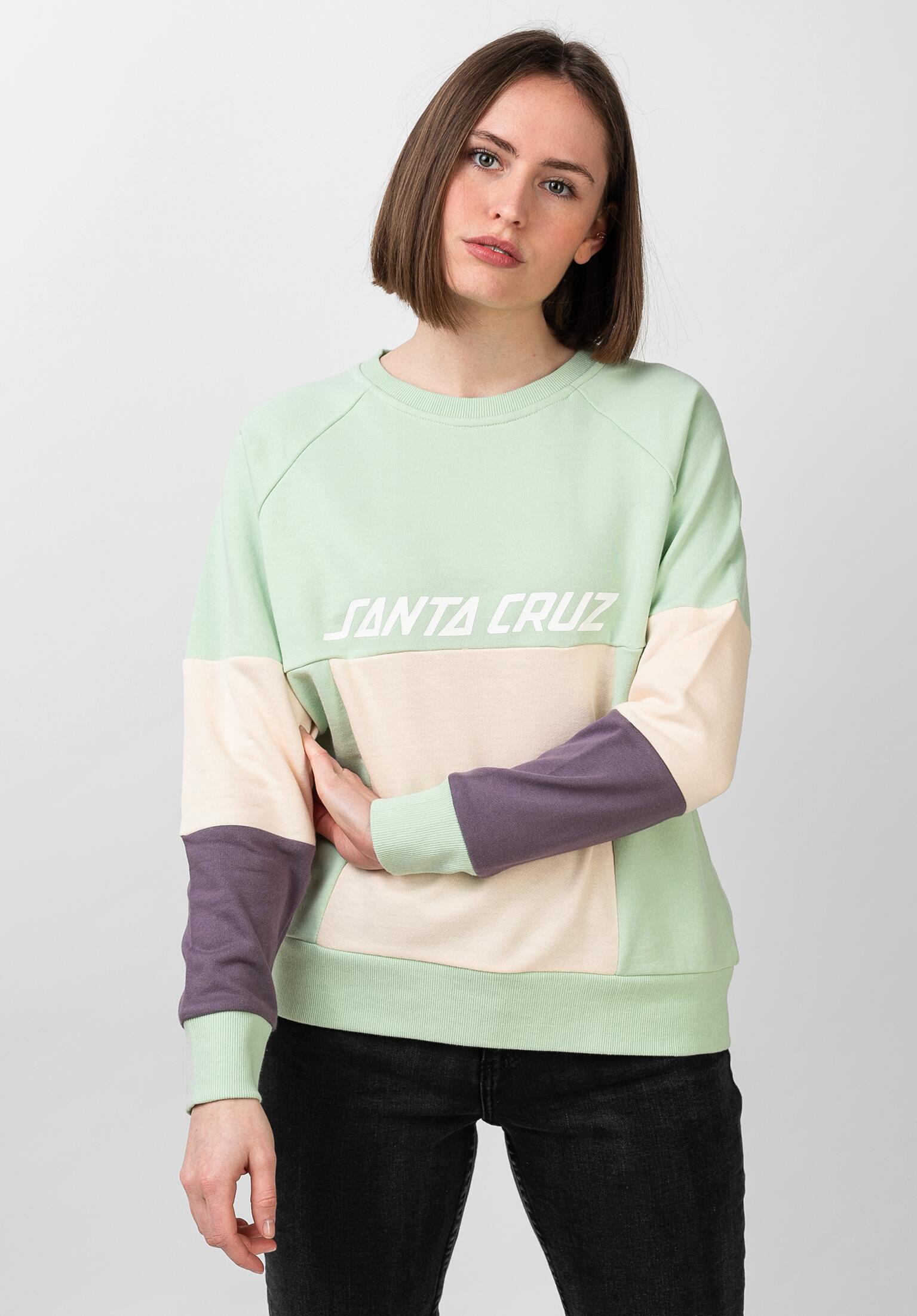 santa-cruz-sweatshirts-und-pullover-frame-multi-vorderansicht-0422859.jpg