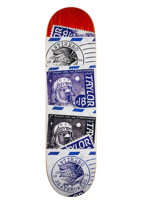Anti Hero Taylor Postal Deck assorted – Vorderansicht