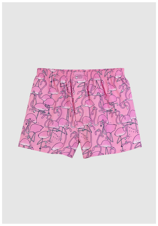 Greater Flamingos pink Vorderansicht