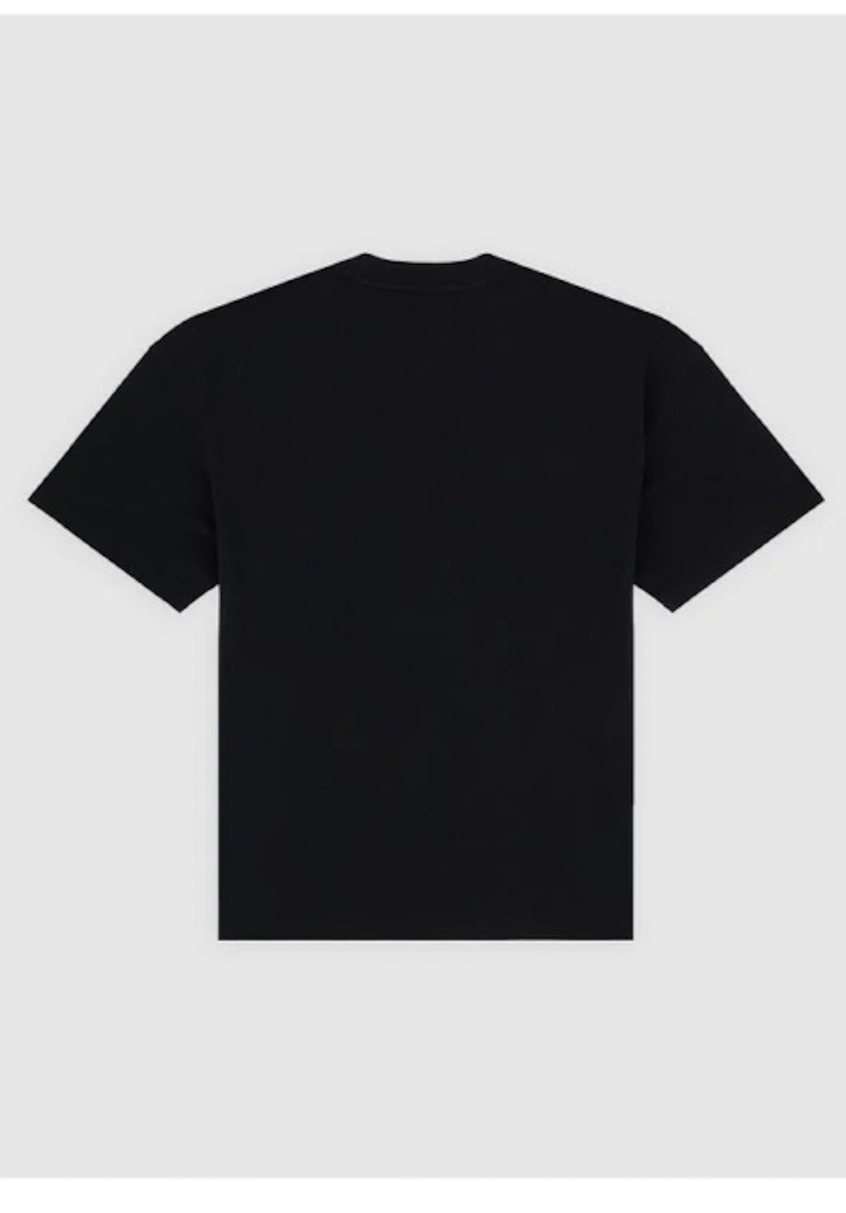 Dickies Irondale T-Shirt black – Rückenansicht