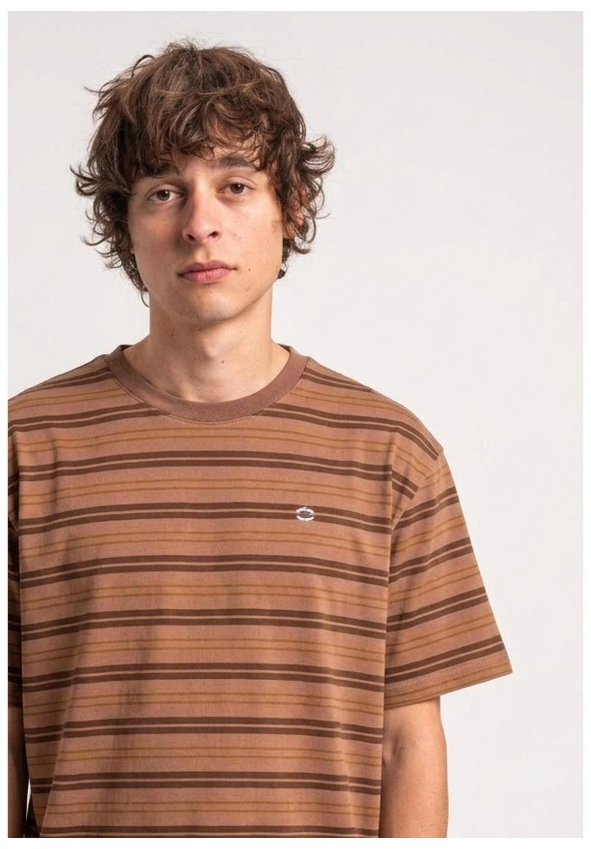 TITUS Icon Stripes T-Shirt darkbrown-striped – Rückenansicht