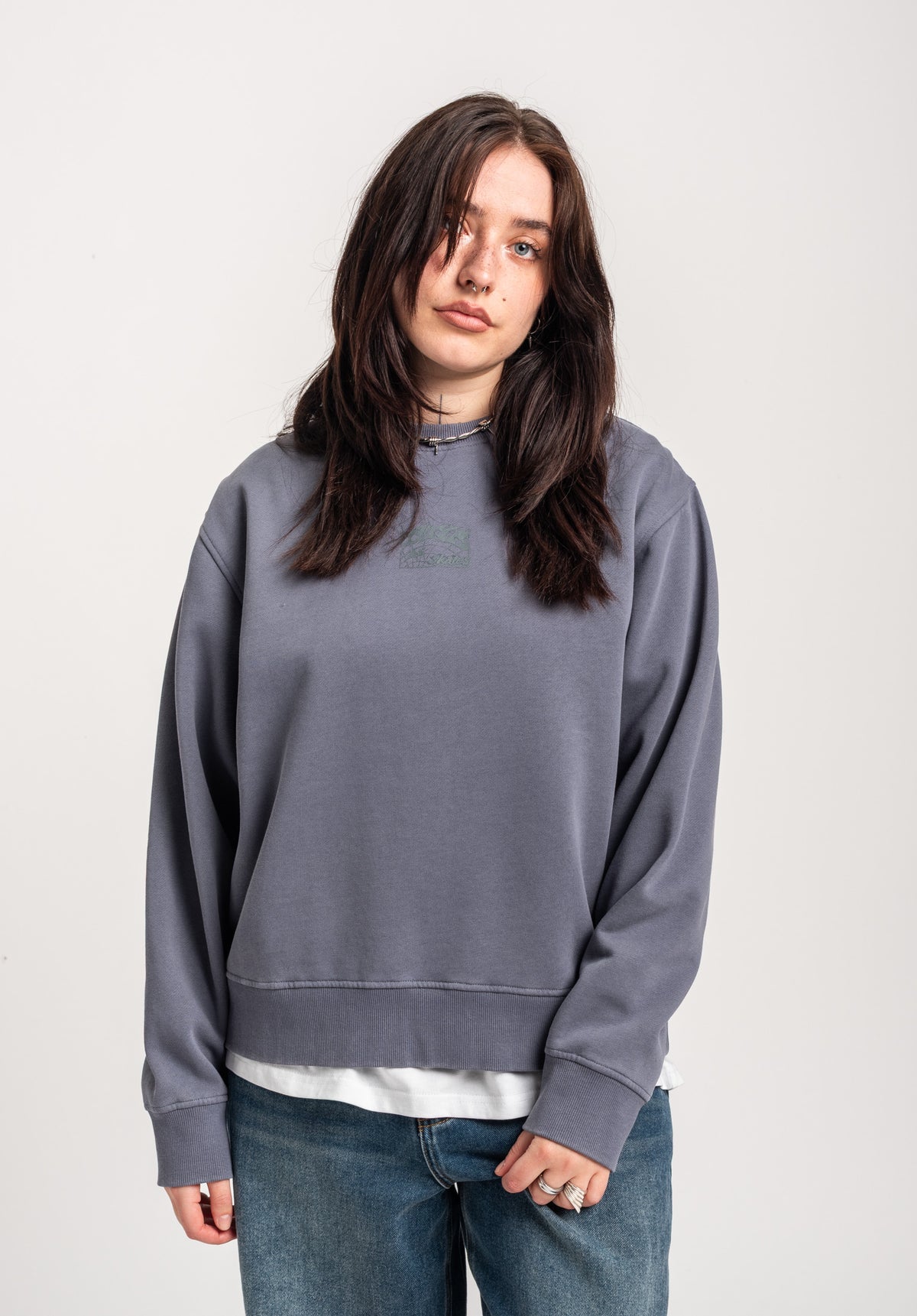 TITUS W Heritage Clean Sweatshirt greybluefaded – Rückenansicht