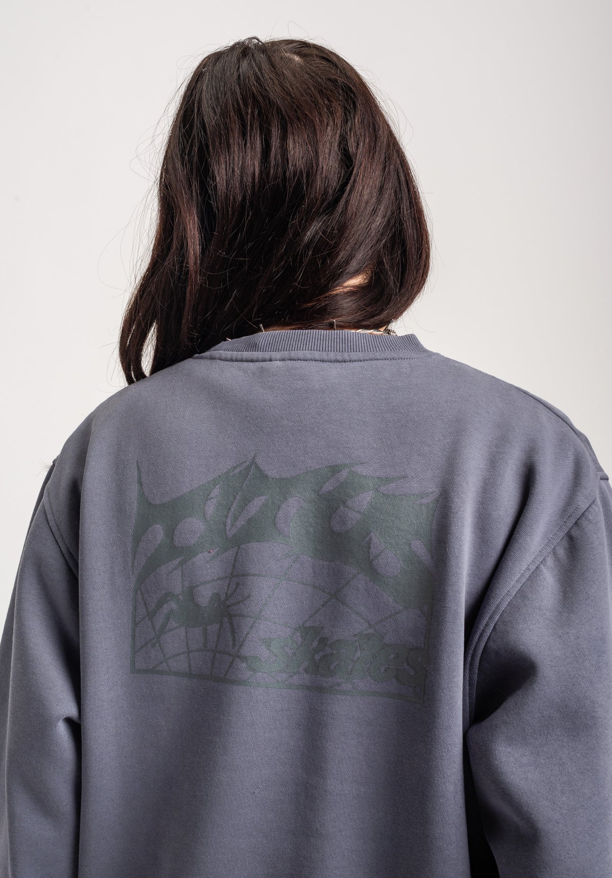 TITUS W Heritage Clean Sweatshirt greybluefaded – Seitenansicht