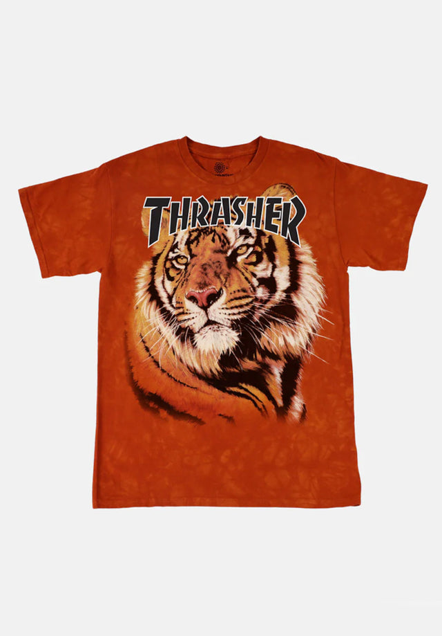 Tiger orange Vorderansicht