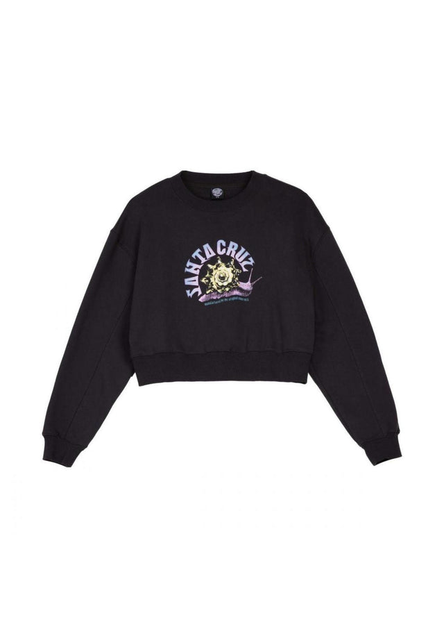 Star Snail blackwash Vorderansicht