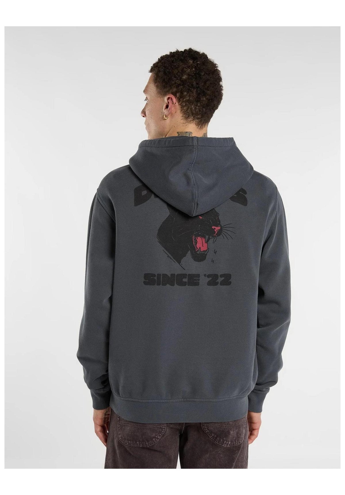 Dickies Mcdermitt Hoodie charcoal – Rückenansicht