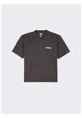 Dickies Avondale T-Shirt black – Rückenansicht
