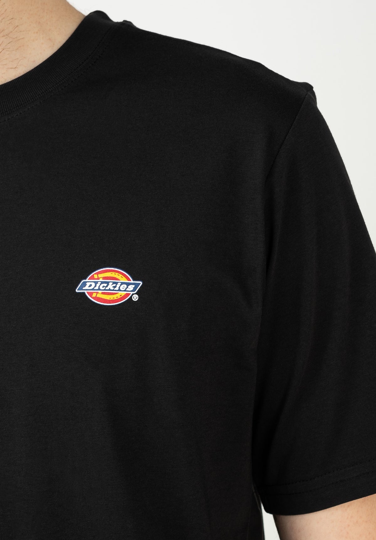 Dickies Mapleton T-Shirt black – Ansicht 2