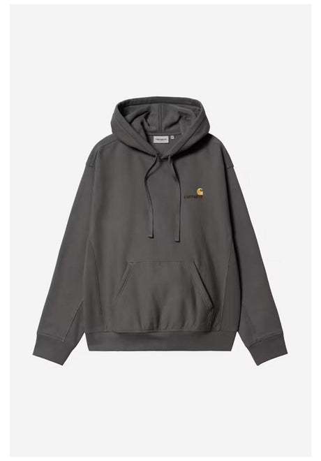 Carhartt WIP Hooded American Script Hoodie graphite – Vorderansicht