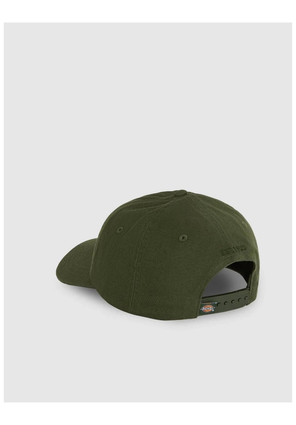Dickies Hardwick Cap deepdepths – Rückenansicht