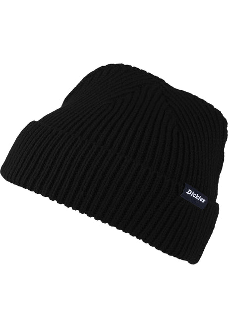 Dickies Woodworth Mütze black – Vorderansicht
