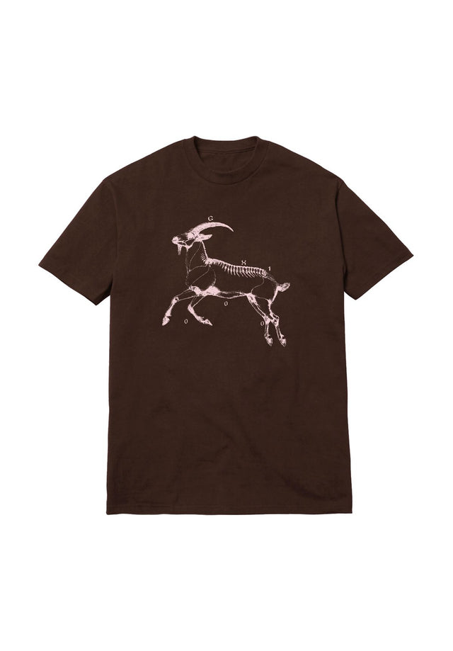 Goat brown Vorderansicht