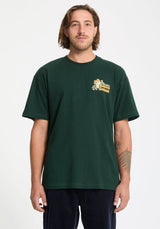 Racoon scarab Vorderansicht