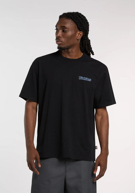 Dickies Fairlawn T-Shirt black – Rückenansicht